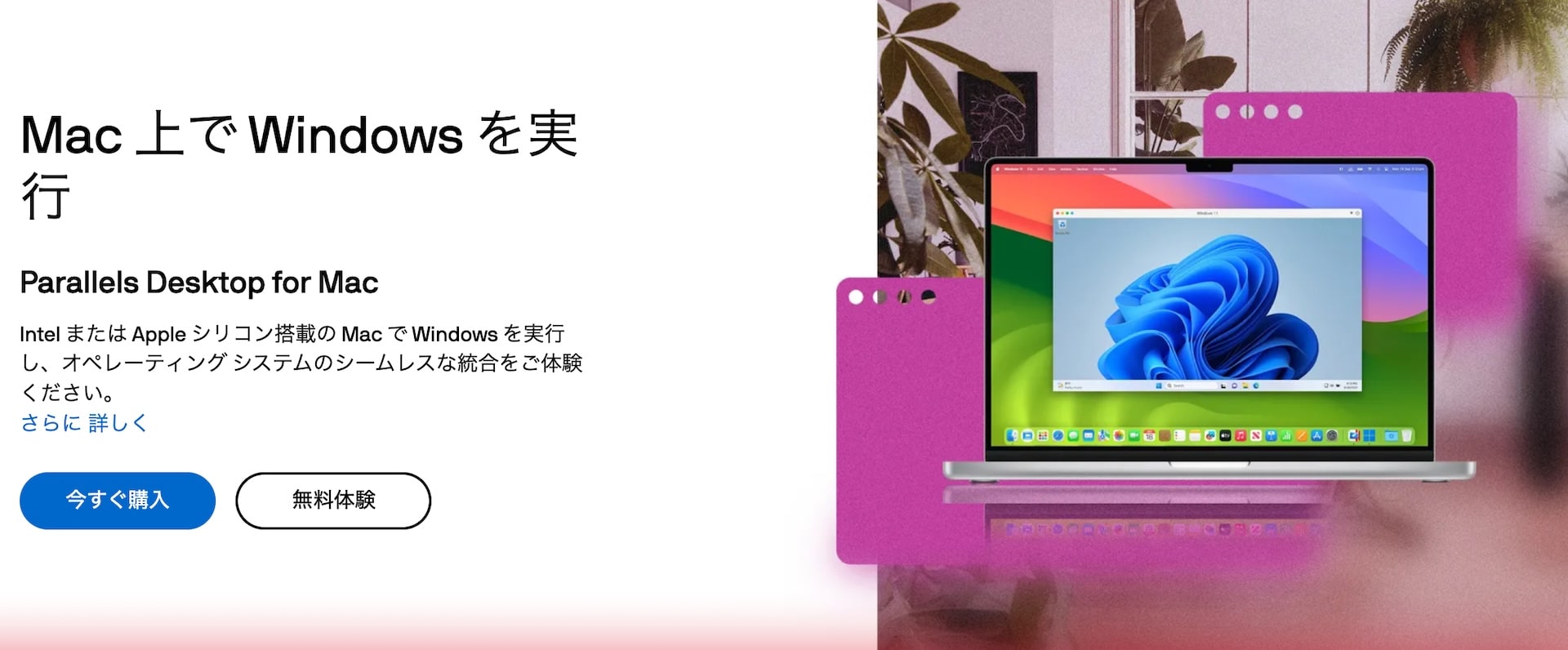 parallels-desktop-26-ad-2025-11